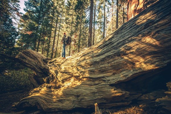 Quelles innovations « Uncharted: Lost Treasures » pourrait-il introduire dans le genre aventure ?